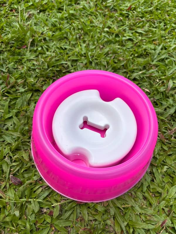 Pote rosa com disco branco flutuante no centro, marcado com um osso em relevo