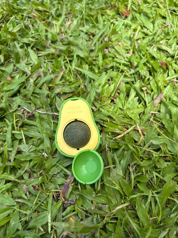 Brinquedo em formato de abacate verde com uma bola de catnip no centro e a tampa ao lado