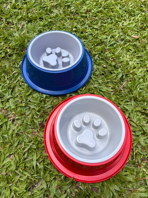 Dois comedouros, um azul e um vermelho, com fundo branco em relevo de pata